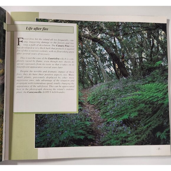 La Palma U Jardin Natural Book Juan José Santos Spain Photographs English Text - Picture 4 of 12